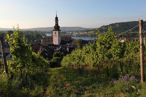 Rudesheim Town and Vineyards in  Early Morning 